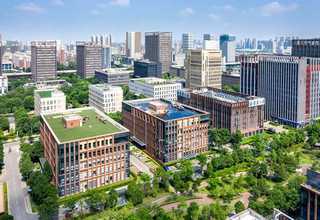 邵阳网络推广T云哪家好