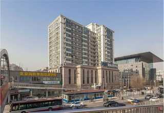 六盘水绿色办公椅