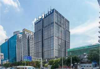 寡营养维单胞菌菌株