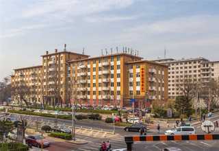 无锡耐寒绿植租赁价格明细